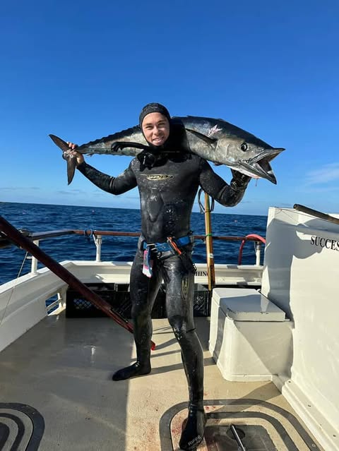 Custom Spearfishing Trips Baja: The Ultimate Pelagic Expedition Guide 2026