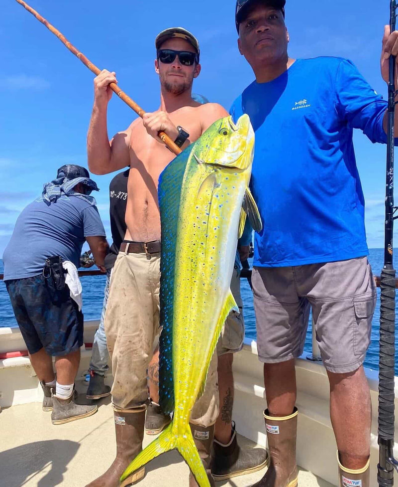 Dorado Fishing Season San Diego: The Ultimate 2026 Angler's Guide