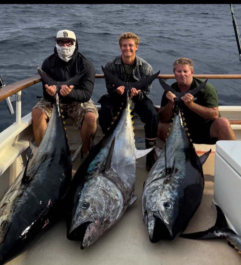 San Diego Corporate Fishing: 2026 Team-Building Guide