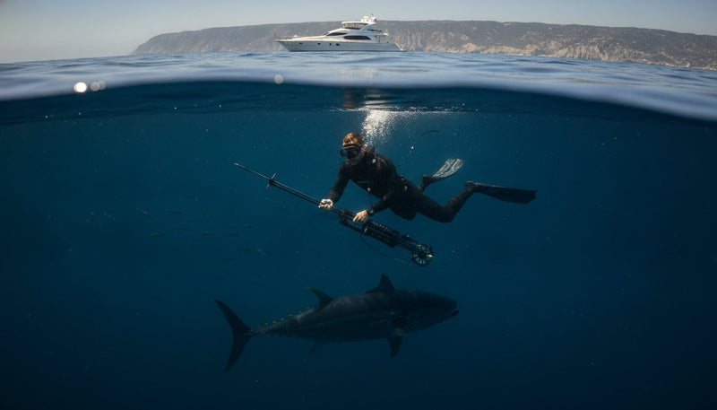 Bluefin Tuna Spearfishing San Diego: The Ultimate Tactical Hunt Guide 2026