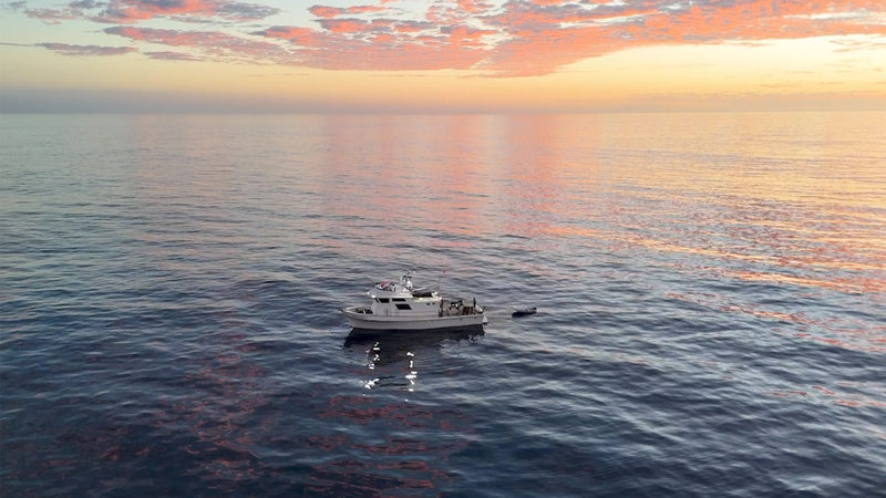 Extended Fishing Charters Baja California: The Ultimate Long-Range Guide